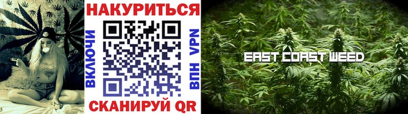 наркотики  Чекалин  Шишки марихуана SATIVA & INDICA 